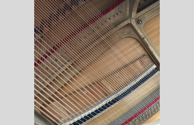 Neimeyer Polished Red Mahogany 108 Upright Piano, Used - All Inclusive Premium Package (SN:D906591) - Image 12